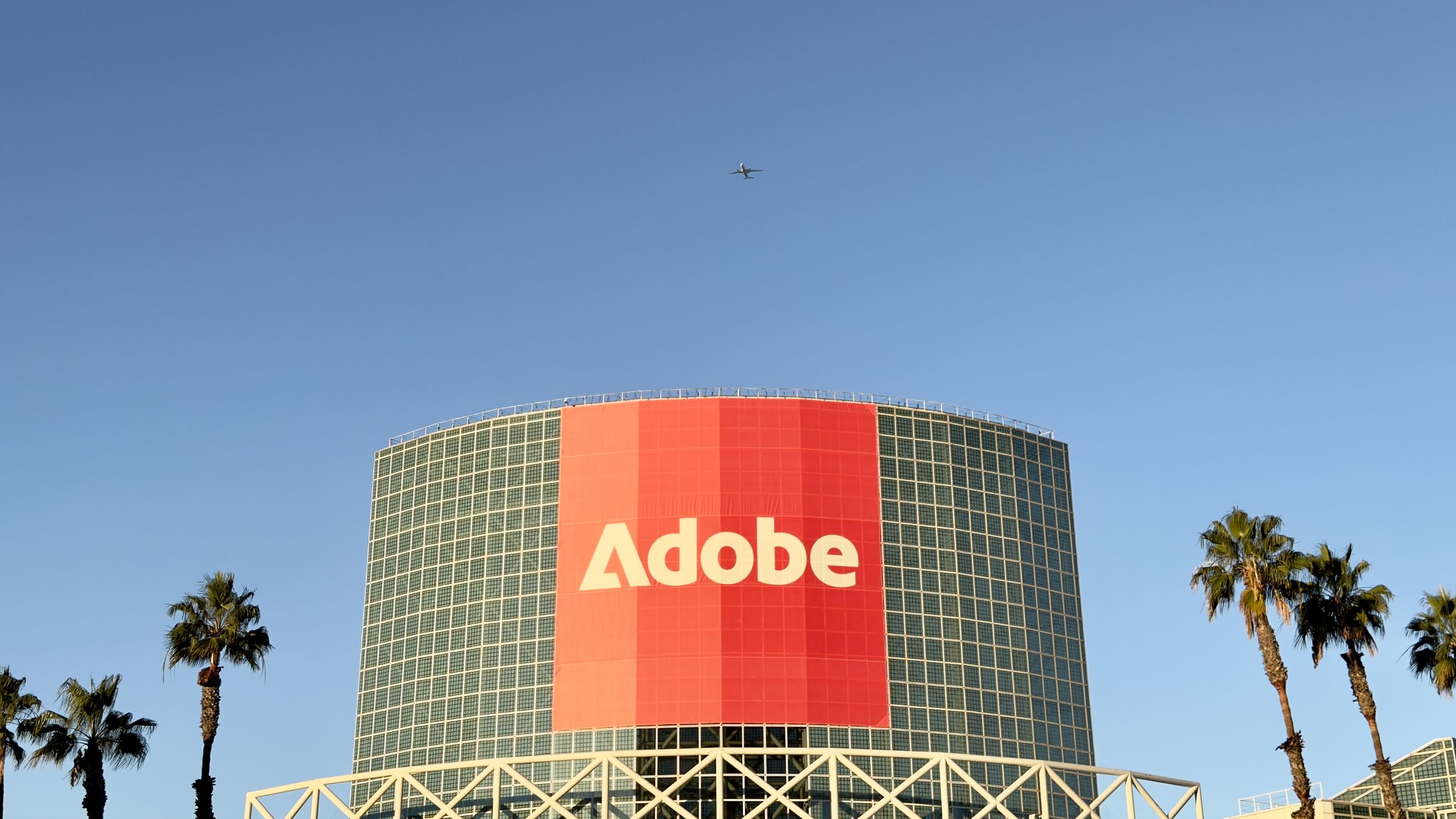 Adobe warns workforces risk being left behind without creative and AI skills