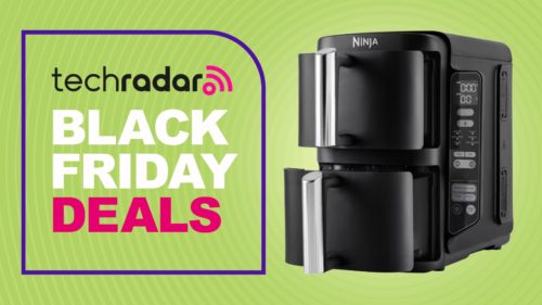 Today’s best Black Friday air fryer deals: up to 50% off Ninja, Philips and Dreo