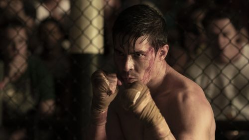 Warner Bros. rejects Paramount deal, but the Netflix merger drama is only just beginning