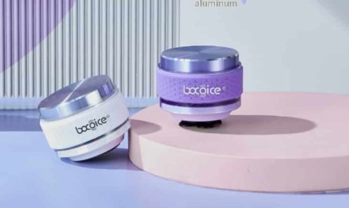 Bocoice C8015 Wireless Bluetooth Speaker Review-Compact Sound with Style