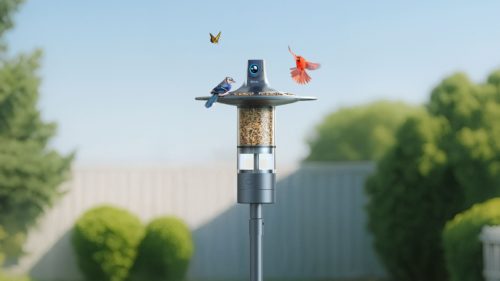 This world-first bird feeder cam with 360-degree view sees all in 6K, and I can’t wait to try it in my backyard