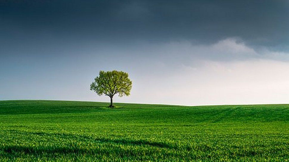 AI can be a catalyst for sustainability: here’s why that’s not a contradiction