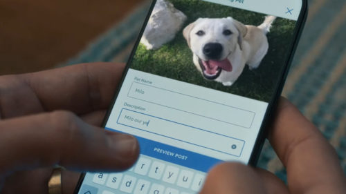 Ring Aims Its 2026 Super Bowl Commercial Directly At Pet Lovers Everywhere