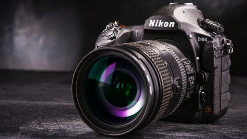 14-Year-Old Wins Young Close-Up Photographer Of The Year Using This Decade-Old DSLR