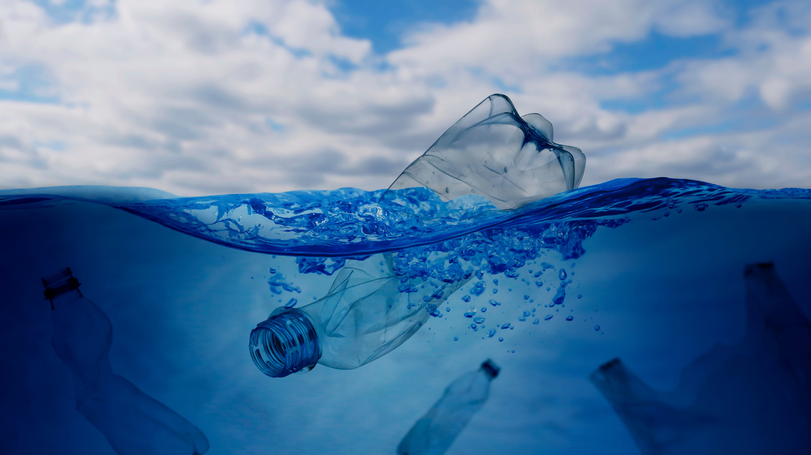 Scientists Say Cleaning Plastic Out Of Our Oceans Could Do More Harm Than Good
