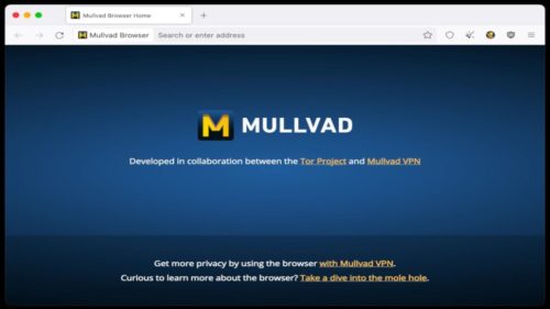 Mullvad Browser’s testers now get access to updates every four weeks, also on Linux ARM devices