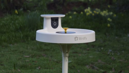 Birdfy Bird Bath Pro review