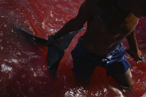 The 2026 World Press Photo Awards Have an Obvious Gear Trend