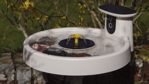I’ve been using bird feeder cameras for years, and new avian health warnings had me worried for the summer months — but this smart bird bath alternative, along with expert advice, will let me get my g
