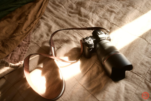 Canon EOS R5 in 2026: Why Does Everyone Hate It?