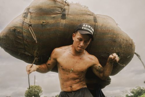 These are the stunning images of the Sony World Photography Awards 2026 — and there are some surprising camera choices among the winners