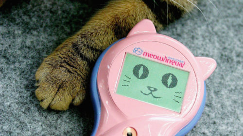 15 Of The Weirdest Tech Items That Never Really Became Popular