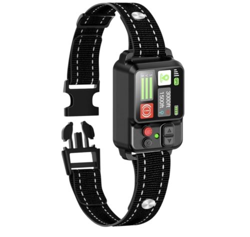 ZF500 GPS Wireless Dog Fence Collar Review: A Smarter Way to Protect Your Dog