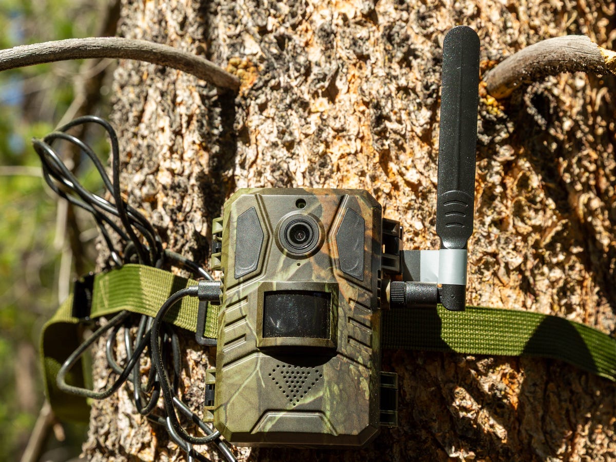 Can a $50 Trail Cam Be That Good? If It’s the Sehmua RBX-H10, the Answer Is a Resounding Yes