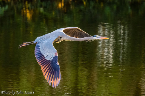 QotW – What nature photos are you most proud of? Show us your best shots