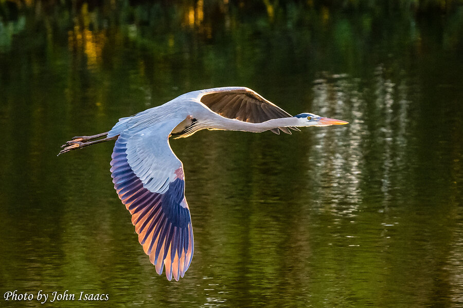 QotW – What nature photos are you most proud of? Show us your best shots