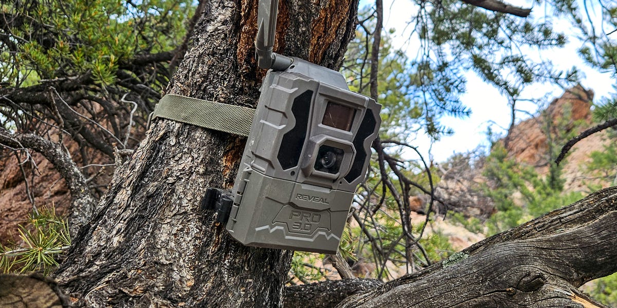 Tactacam Reveal Pro 3 Review: A Powerful Cellular Trail Cam