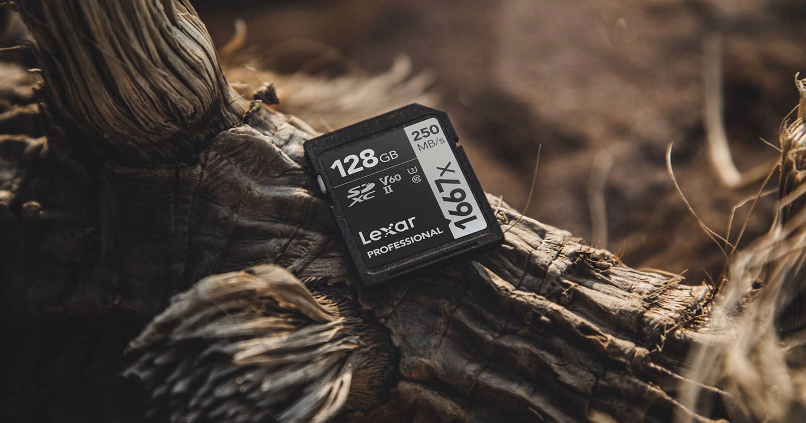 Are Counterfeit, Scam SD Memory Cards Really a Problem?