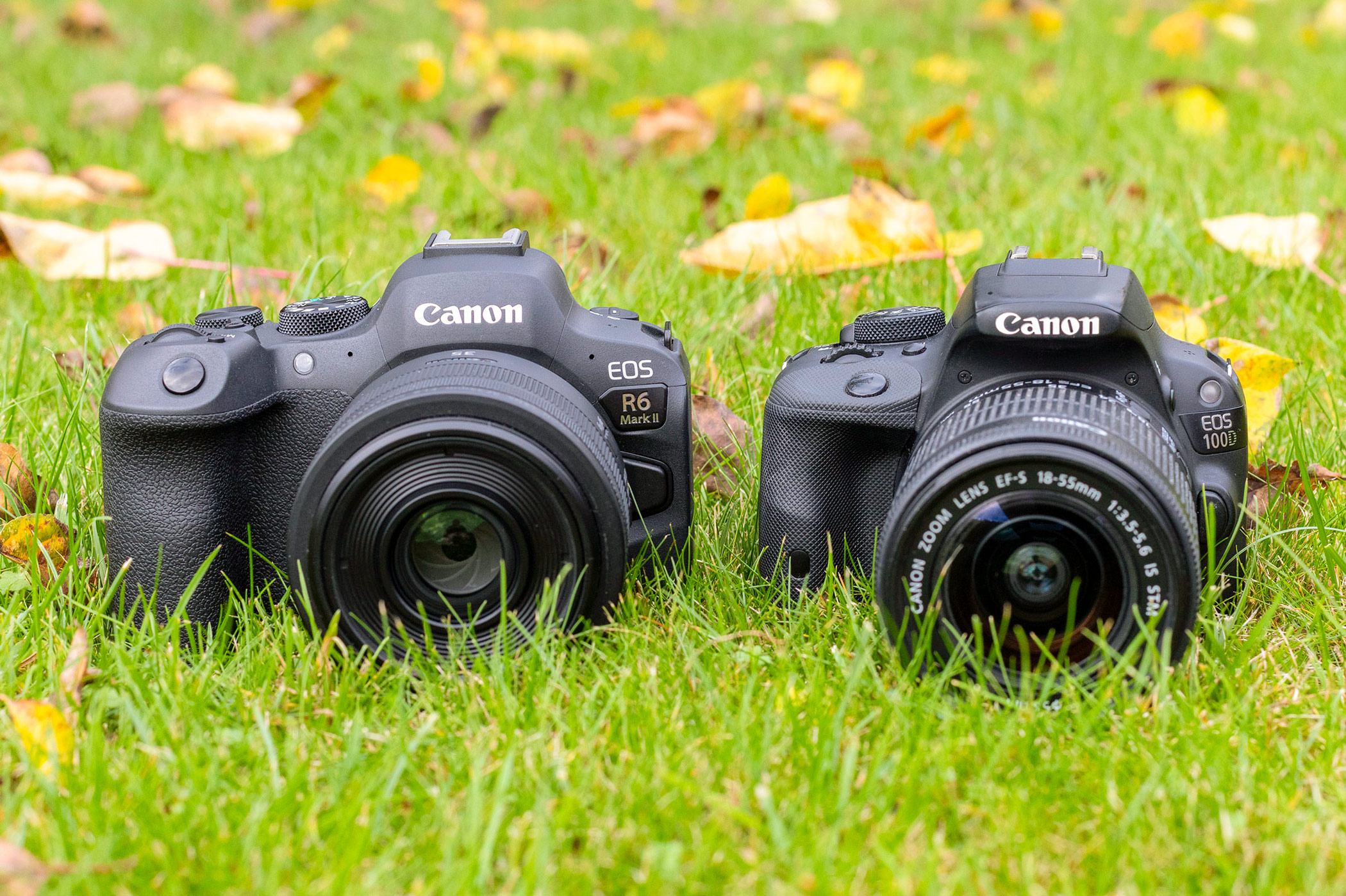 Canon Mirrorless vs DSLR – Why I chose my Canon mirrorless camera every time