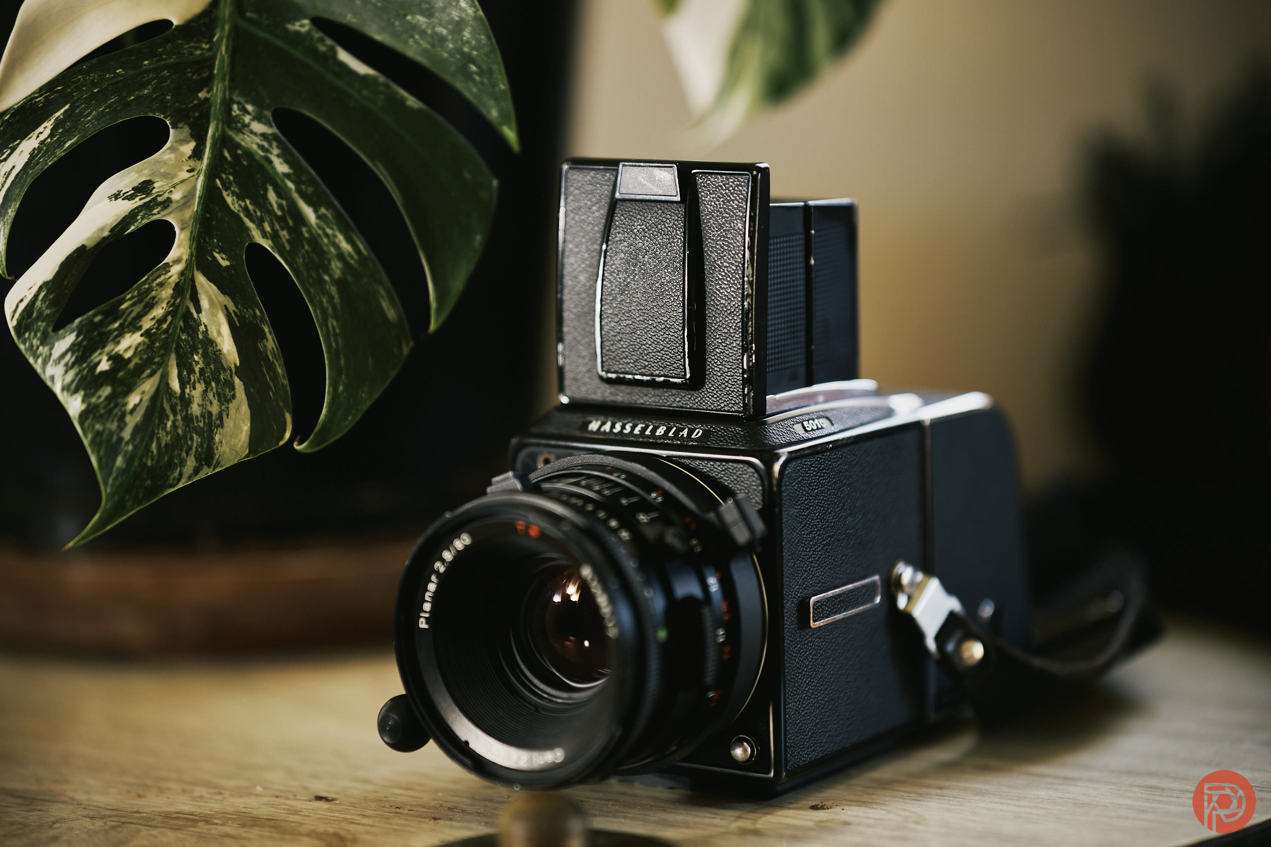 How to Buy a DSLR in Today’s Mirrorless Camera World