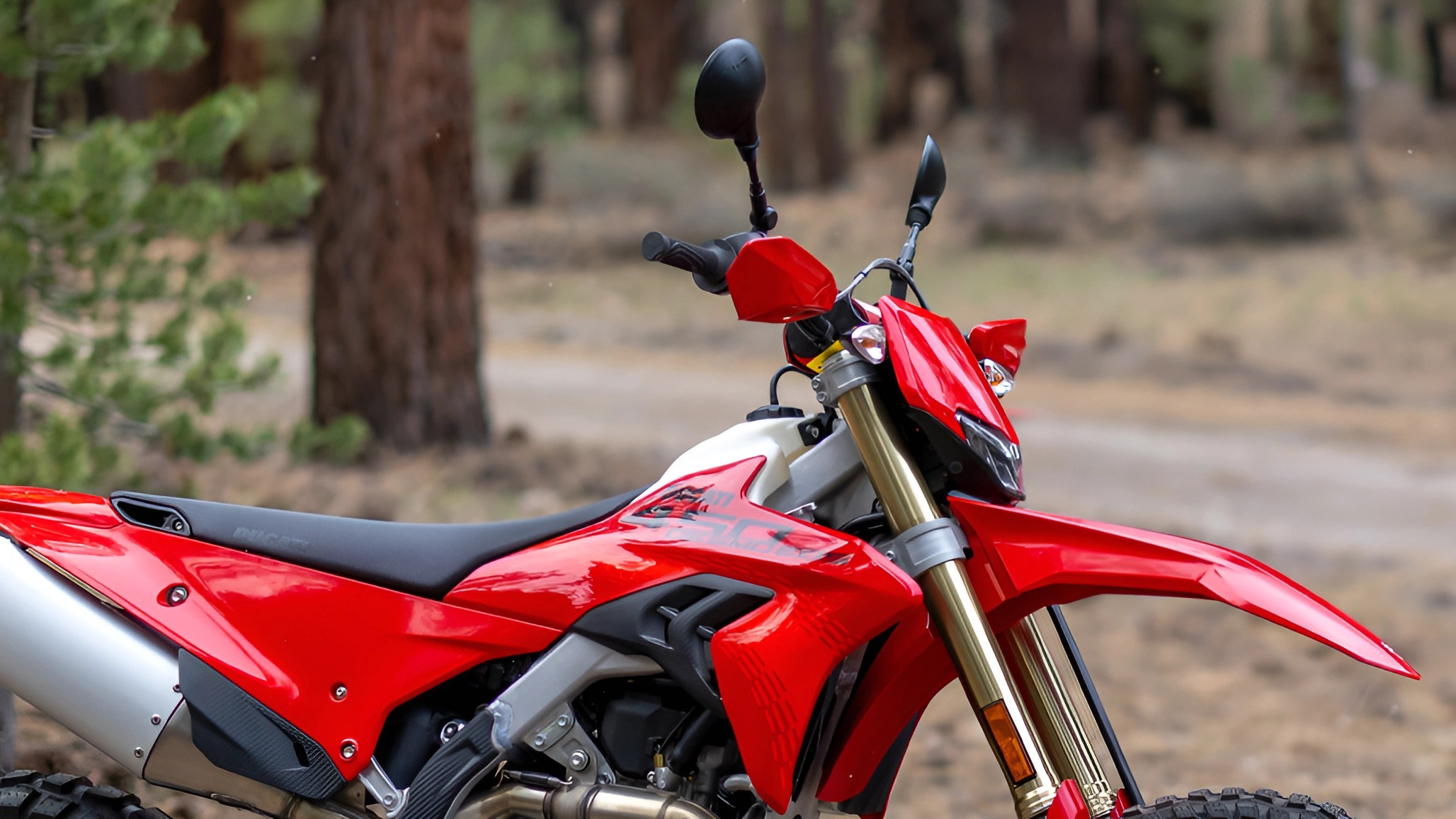 Ducati’s First Modern Enduro Gives Its Coolest Off-Road Moto the Versatility It Deserved