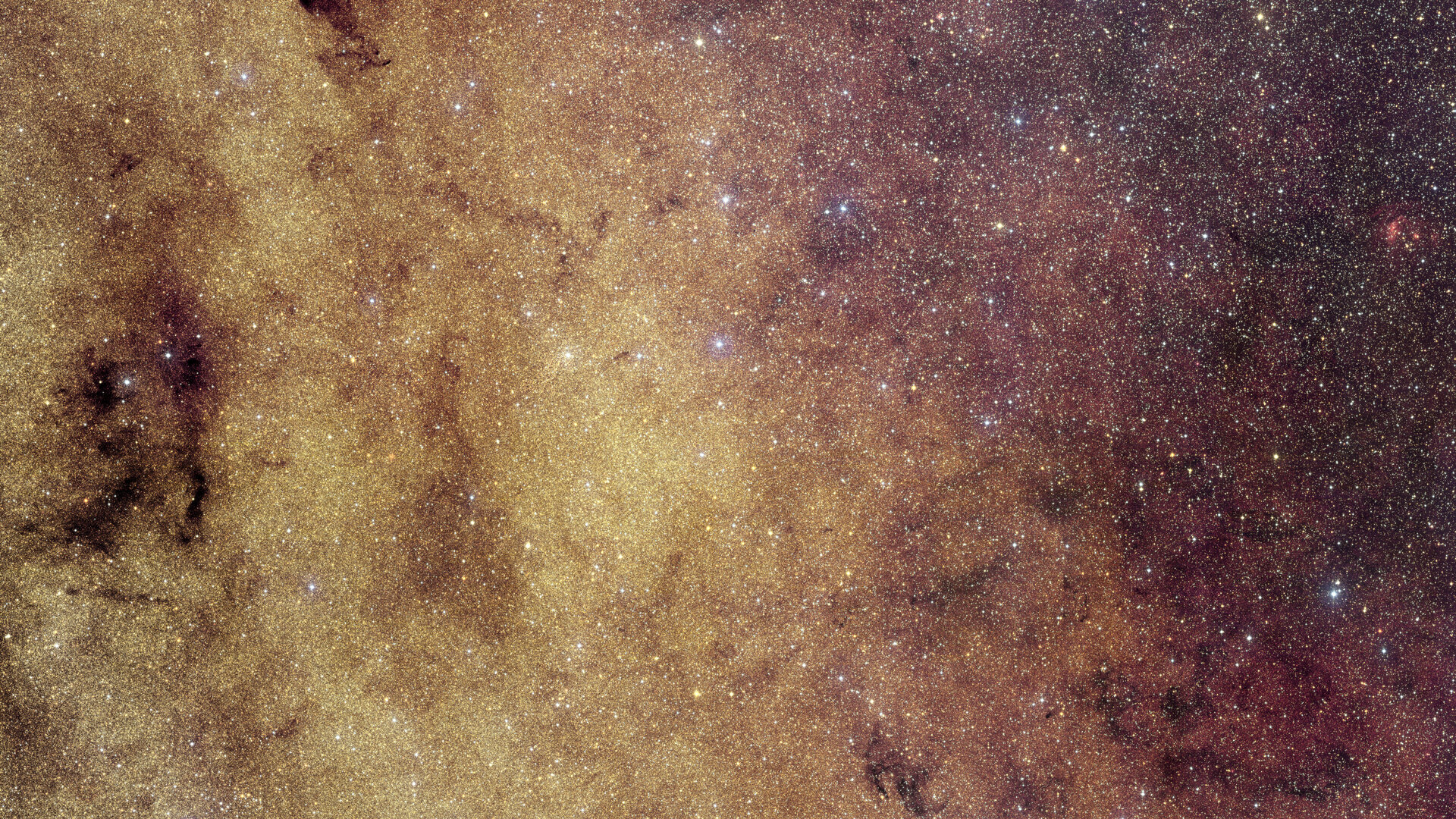 ESA’s Euclid captures the Milky Way’s crowded heart
