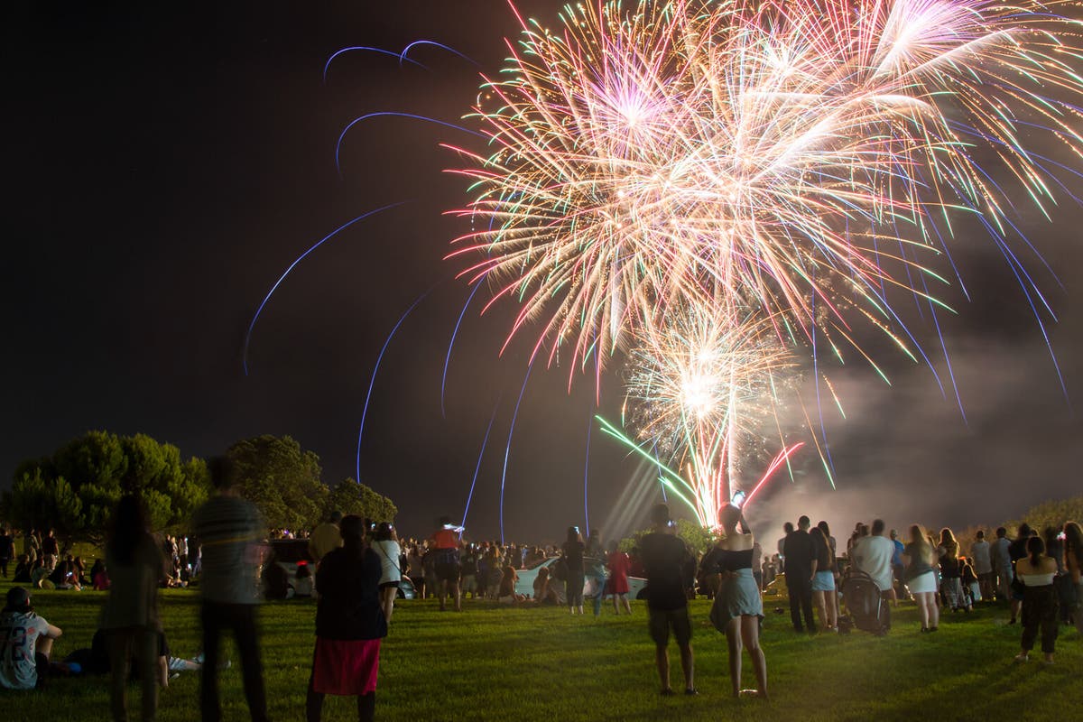 How to Block Fireworks Noise for Adults, Kids, and Pets