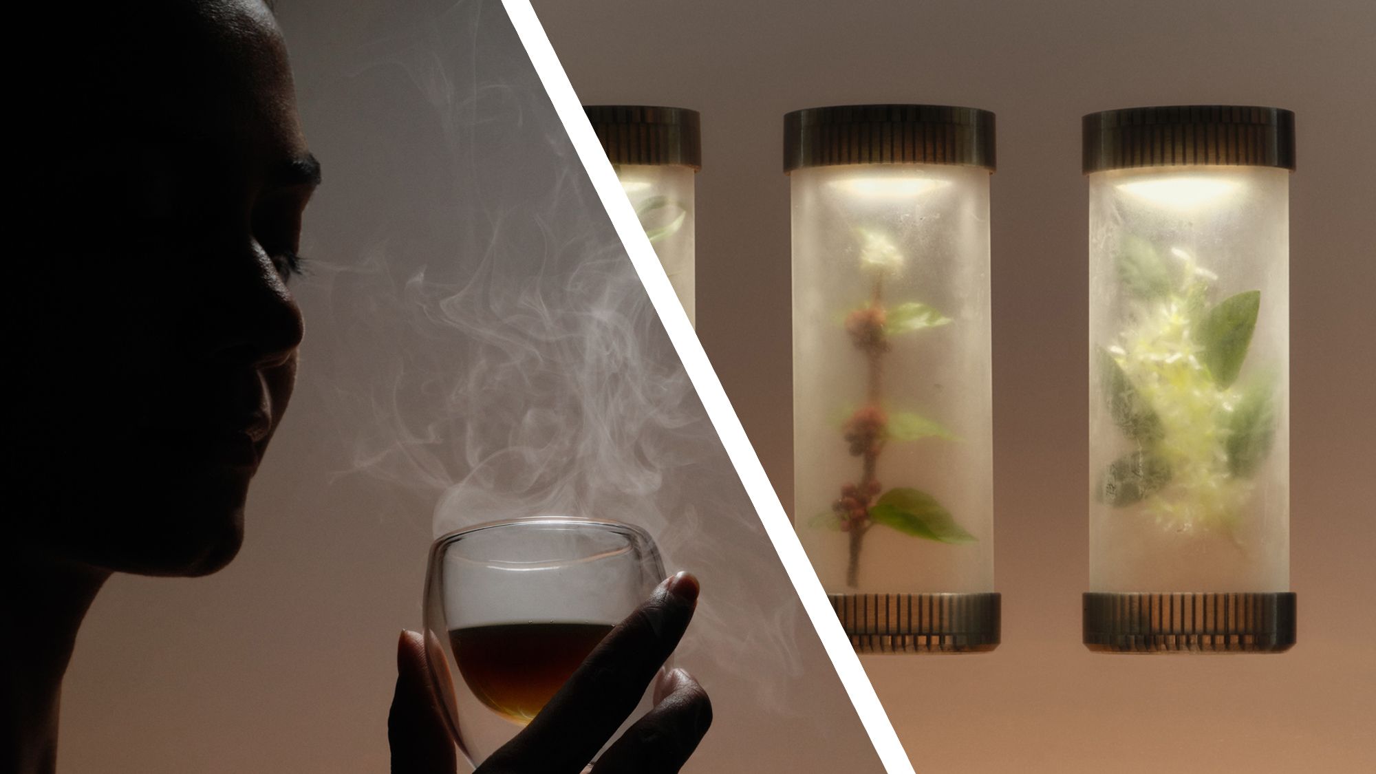 This futuristic coffee machine uses NASA climate models to predict what your brews will taste like in 100 years — as its designer warns that ‘Earth won’t facilitate what we need’