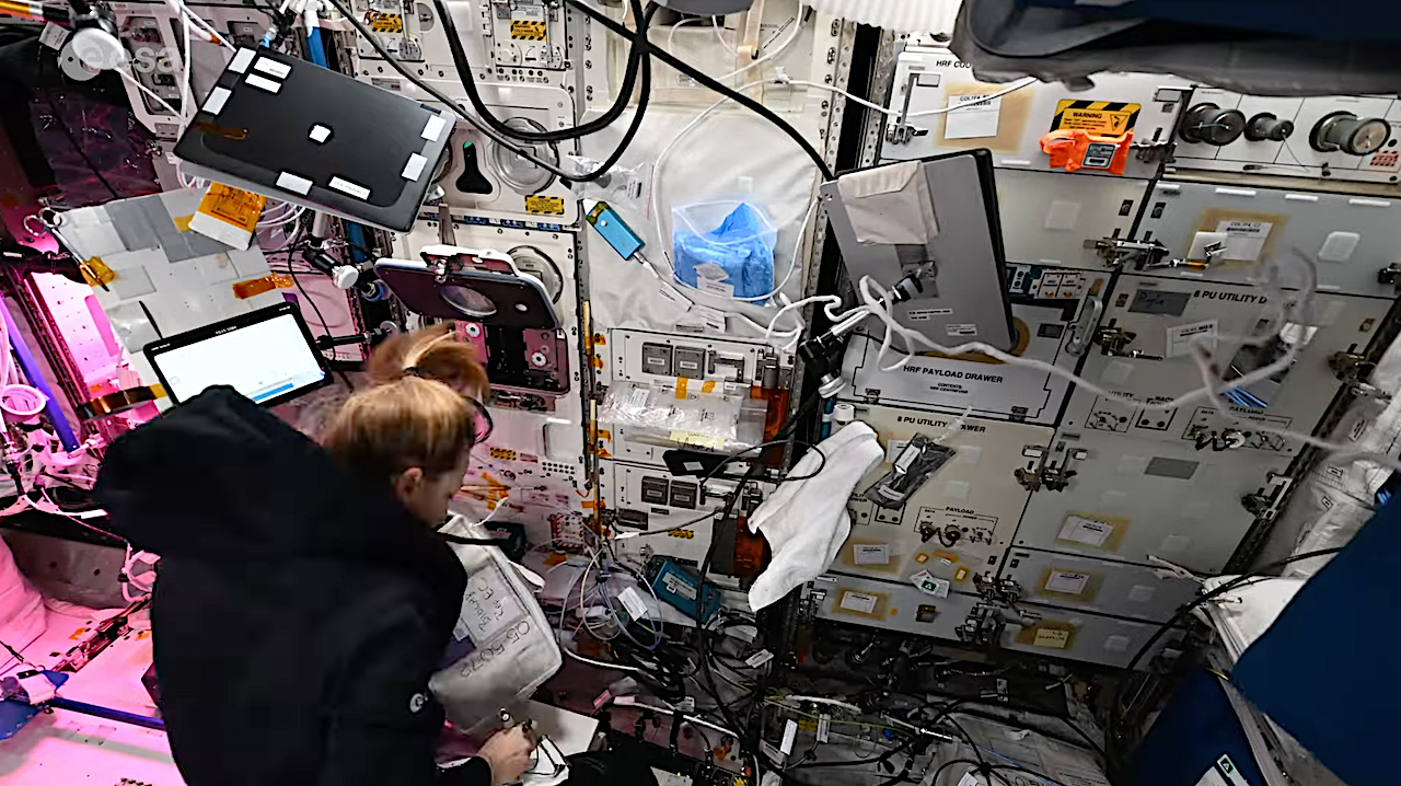 Offworld Biotech: Installing NEMUCO In BioLab On The International Space Station – Astrobiology