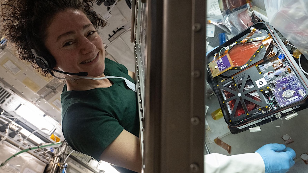 Offworld Space Biology: Setting Up The Life Science Glovebox – Astrobiology