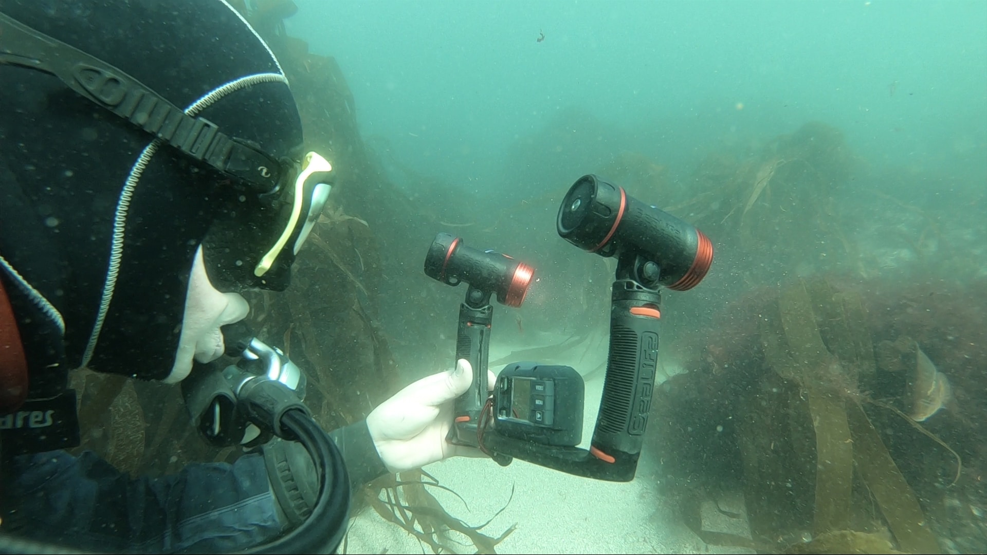 Equipment Review: SeaLife Micro 3.0 Camera and Sea Dragon 2500F Lights (Watch Video) | Scubaverse