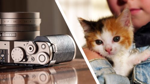 I took over 1,000 photos and videos with the gorgeous Panasonic Lumix L10 — these are my favorites, and they really show off what the premium compact can do (and yes, there are cute kittens)