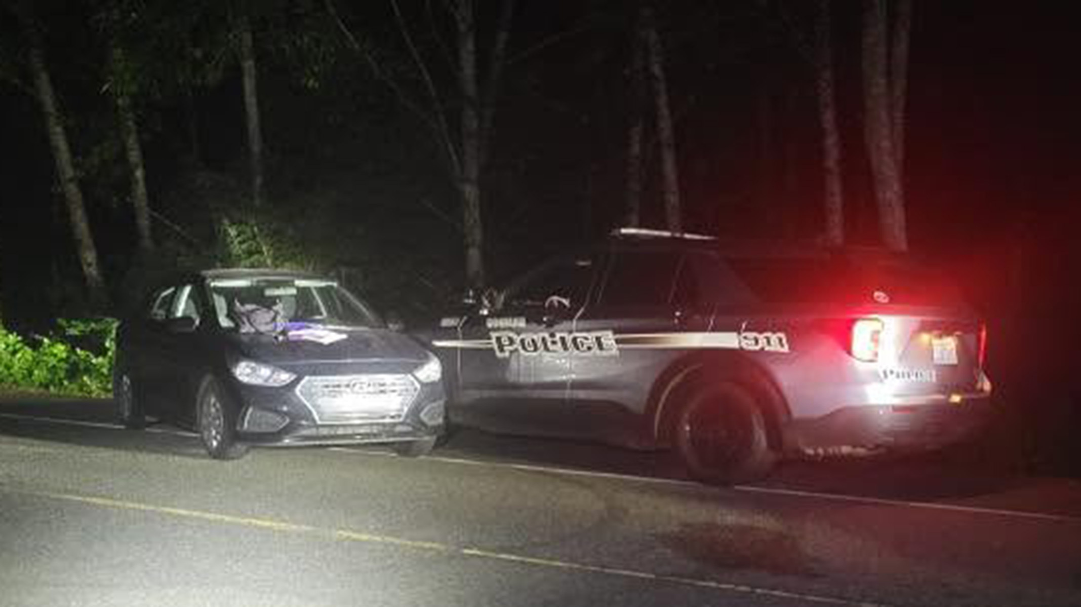 Sovereign Citizen Rejects The Cop’s Authority, The PIT Maneuver Rejects Her Hyundai | Carscoops