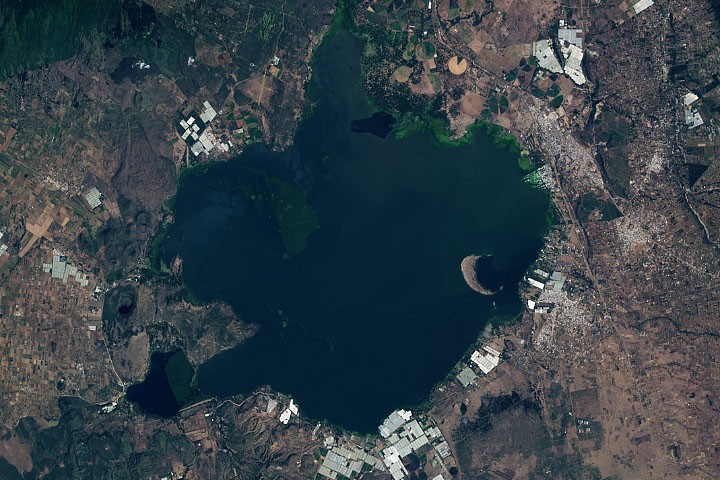 Rising Waters Swamp Lake Naivasha – NASA Science