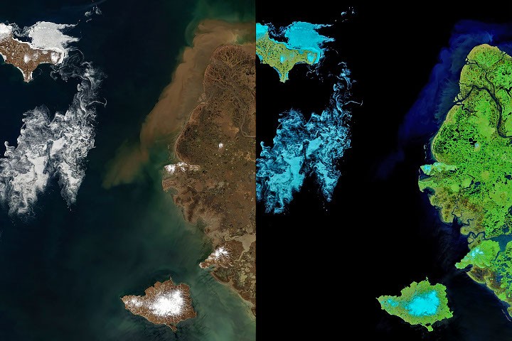 Signs of Thaw in the Bering Sea – NASA Science