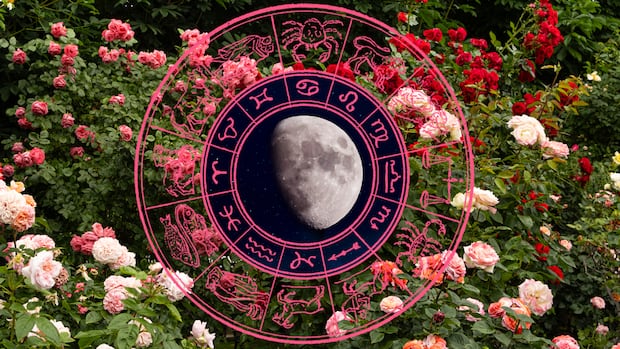 Your horoscope for the week ahead: Get ready for romance to flourish | CBC Life