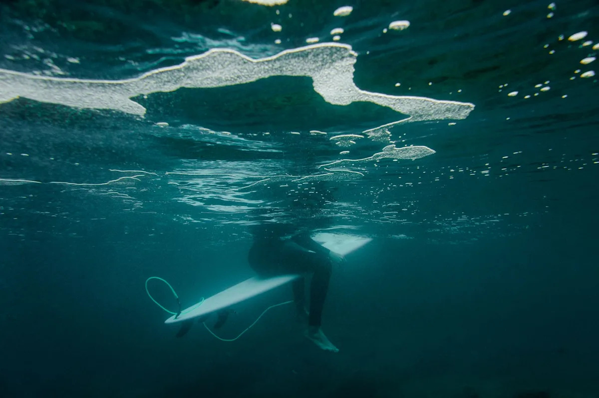 Chilling drone footage shows shark approaching surfer as camera operator tries to warn him