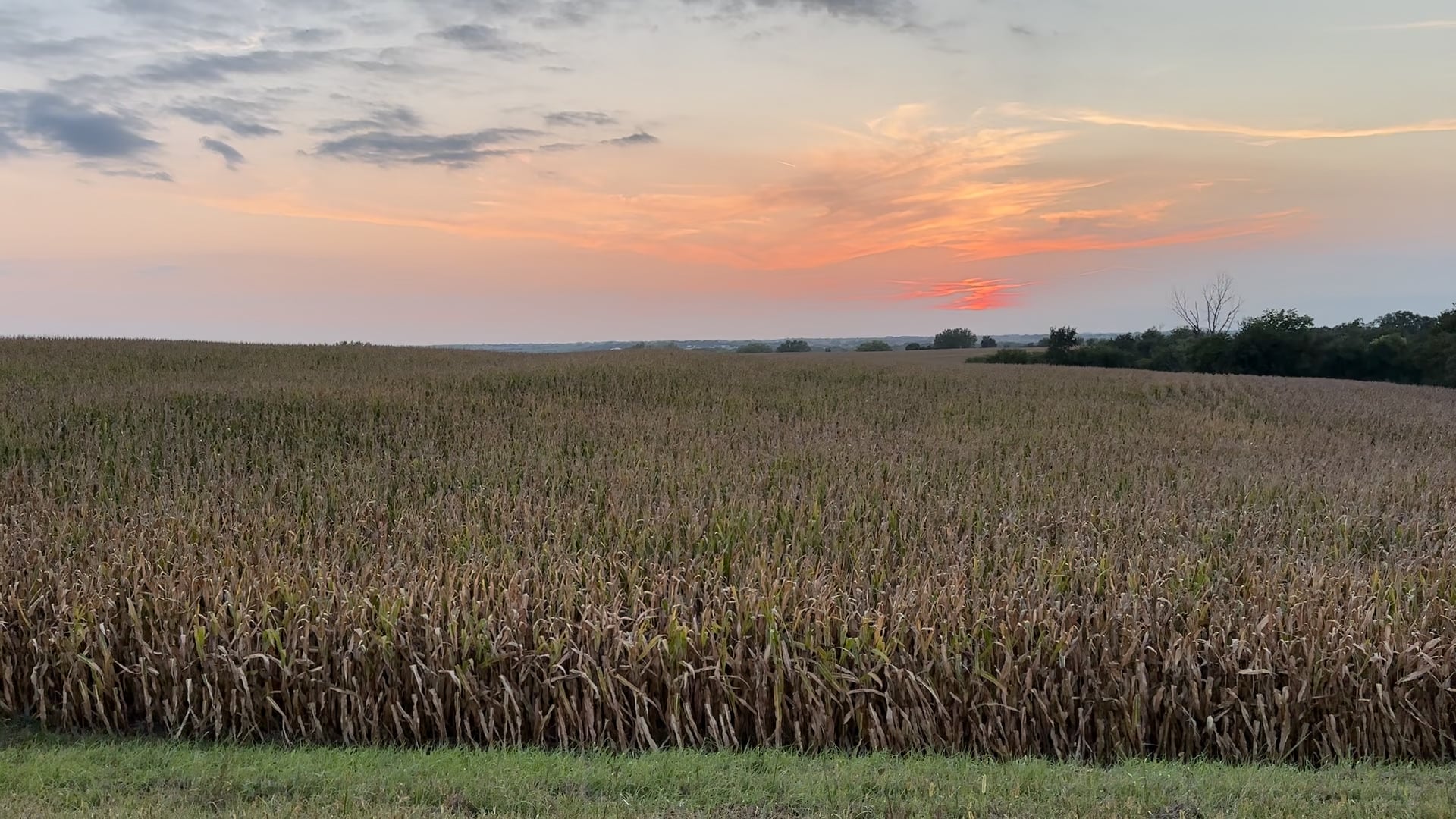 Nebraska Agriculture Joins NASA Acres Team to Improve Farmland Monitoring