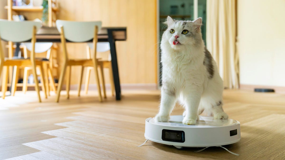 These 5 Common Robot Vacuum Mistakes Are Sabotaging Your Pricey Home Helper