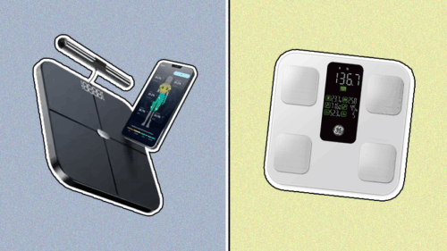 GE Smart Scale vs. Hume Body Pod—here’s the better buy