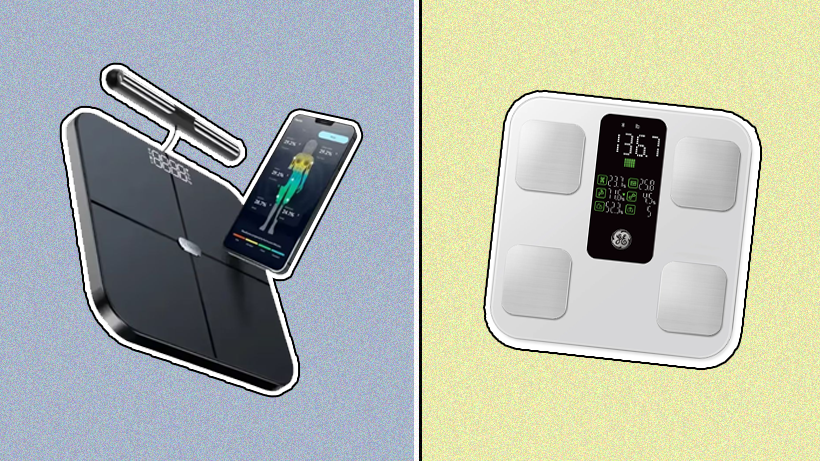 GE Smart Scale vs. Hume Body Pod—here’s the better buy