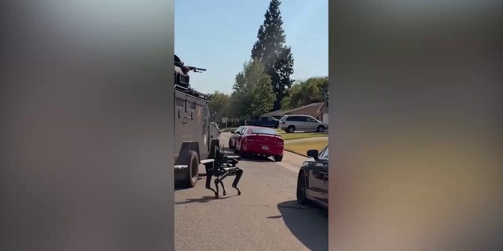 Sheriff’s department uses drone to take knife away from suspect inside his home | Fox News Video