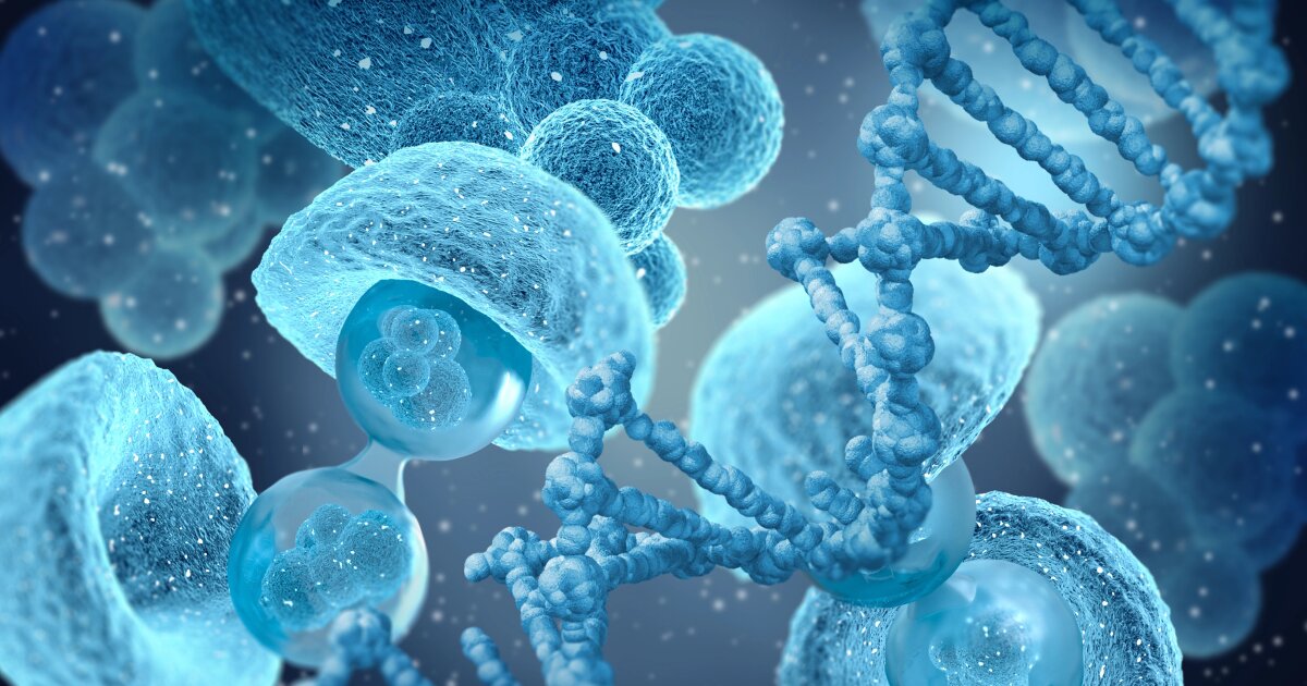 Existing drug blocks newly discovered aging and inflammation pathway