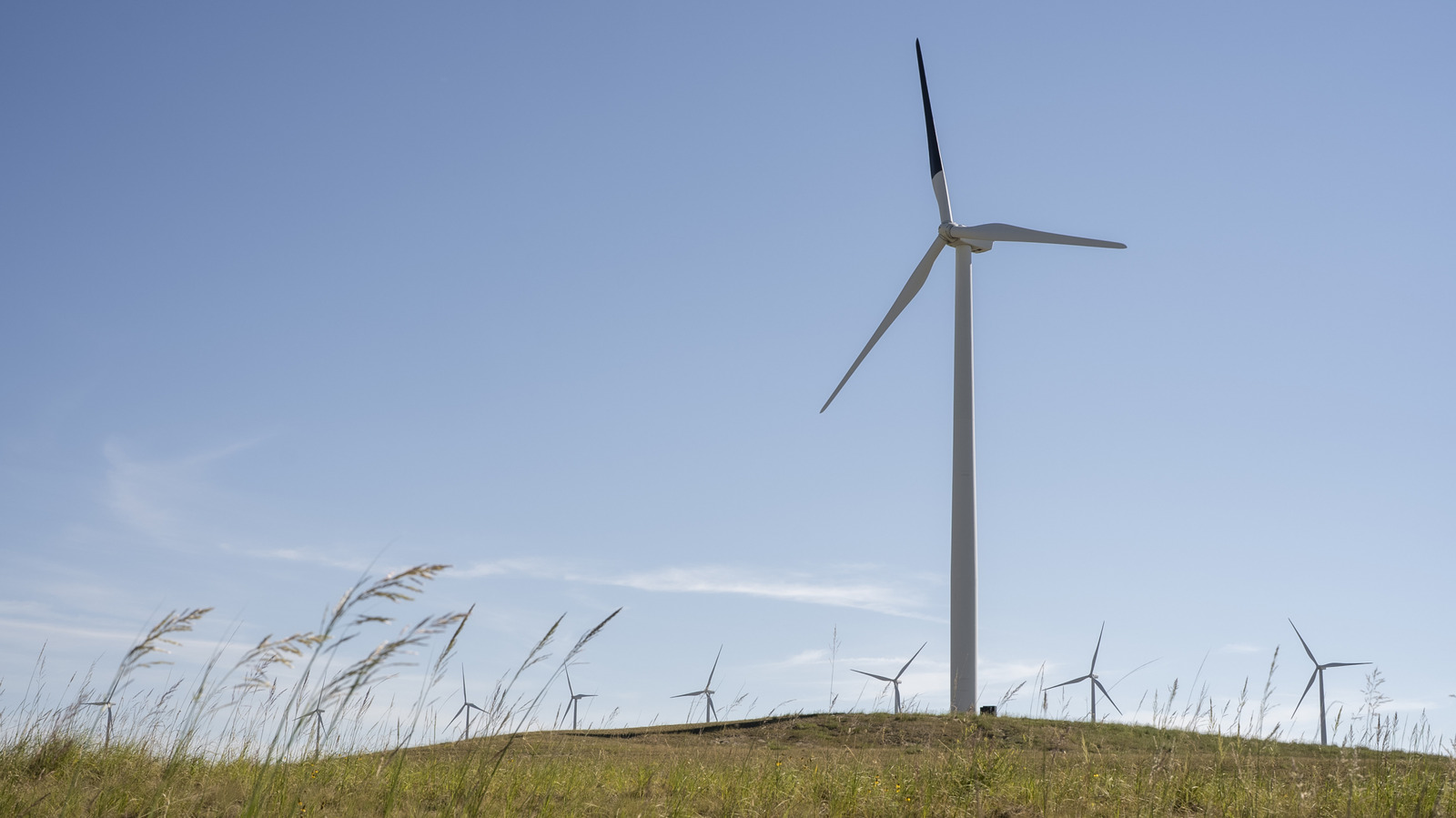 A Single Black Wind Turbine Blade Is Having A Breakthrough Effect On Bird Collisions – BGR