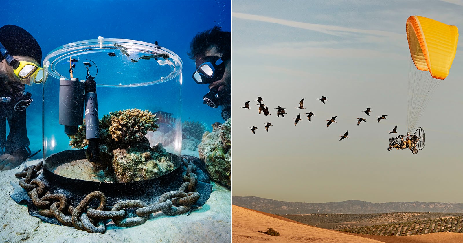 5 Powerful Photos Show Scientists at Work in the Sea, Sky, and Lab
