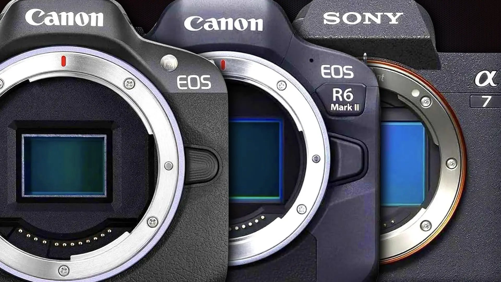 The Camera Industry Talks Flagships. Amazon Buyers Choose the Canon EOS R50 – Y.M.Cinema Magazine