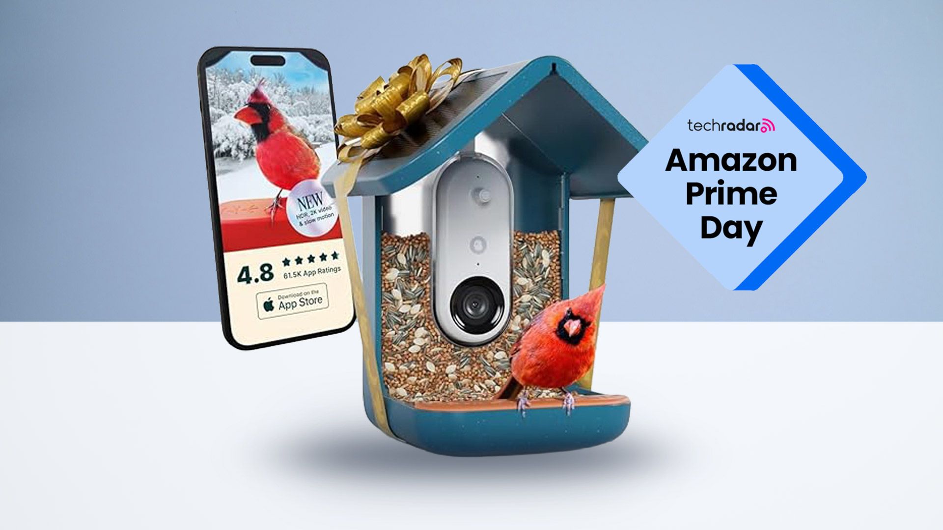 The latest Birdbuddy Pro Prime Day deal is so good, it might turn anybody into a birder