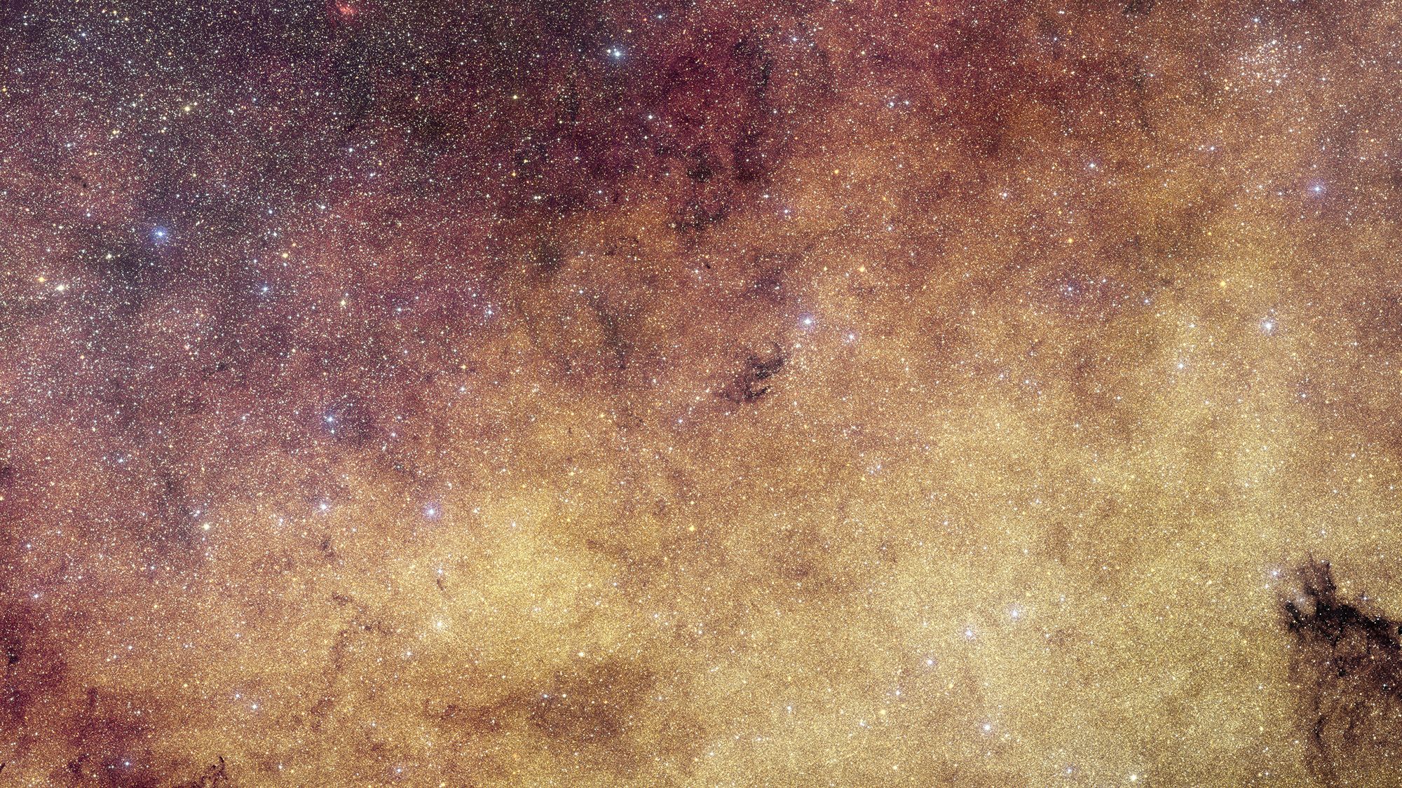 New Euclid space telescope image of 60 million Milky Way stars could keep astronomers busy for decades