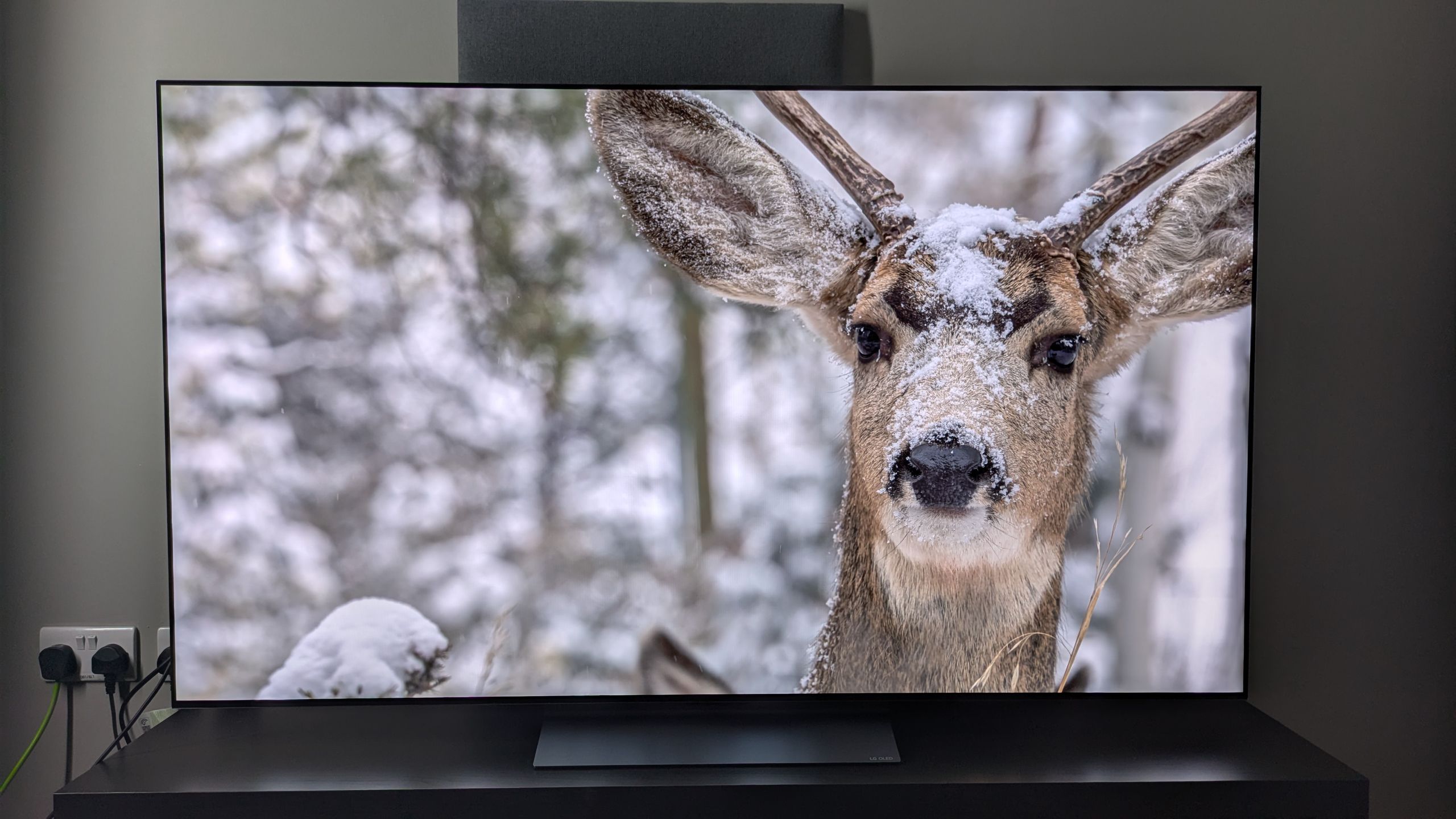 ‘Some of the best TVs I’ve seen’: 4 of our top-reviewed TVs from last year are now amazing bargains, but are starting to sell out — don’t miss out on maybe your last chance to get them!