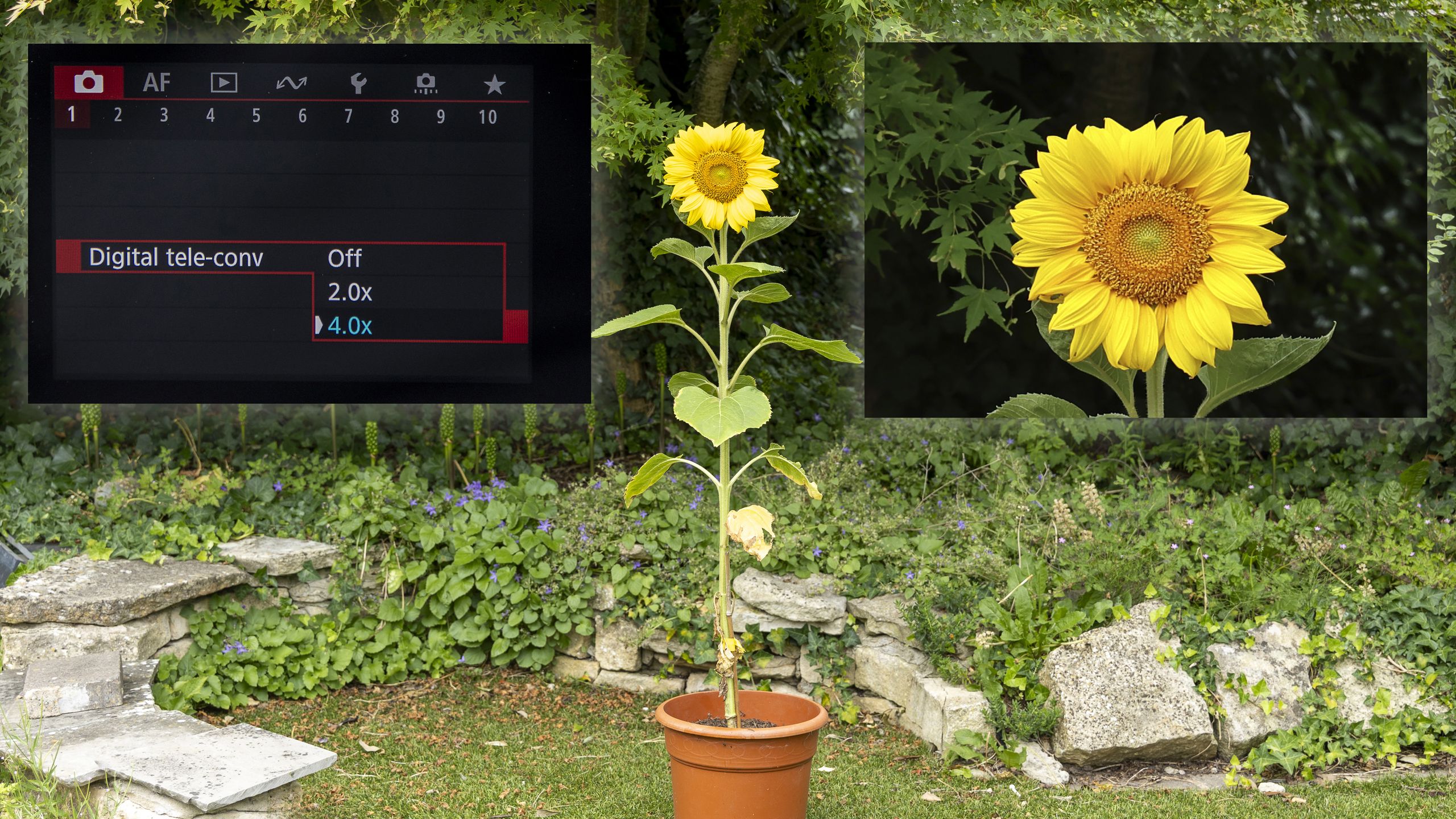 Ever used the digital telephoto modes on your Canon camera? DON’T BOTHER!